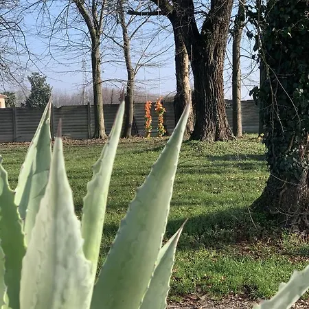Garden Of Venice
