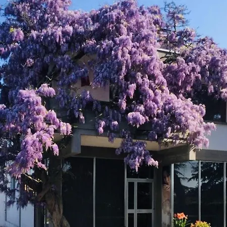 Garden Of Venice